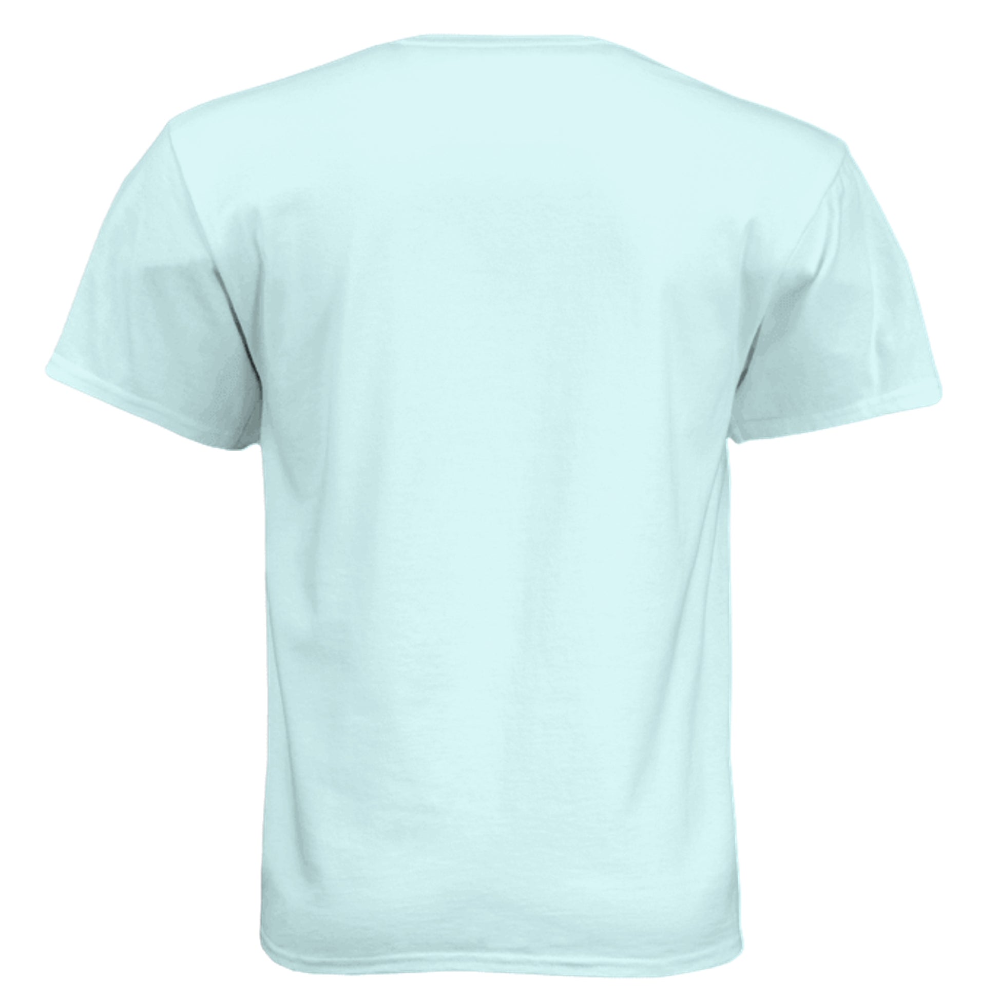 Ice Blue - N6210 - BACK